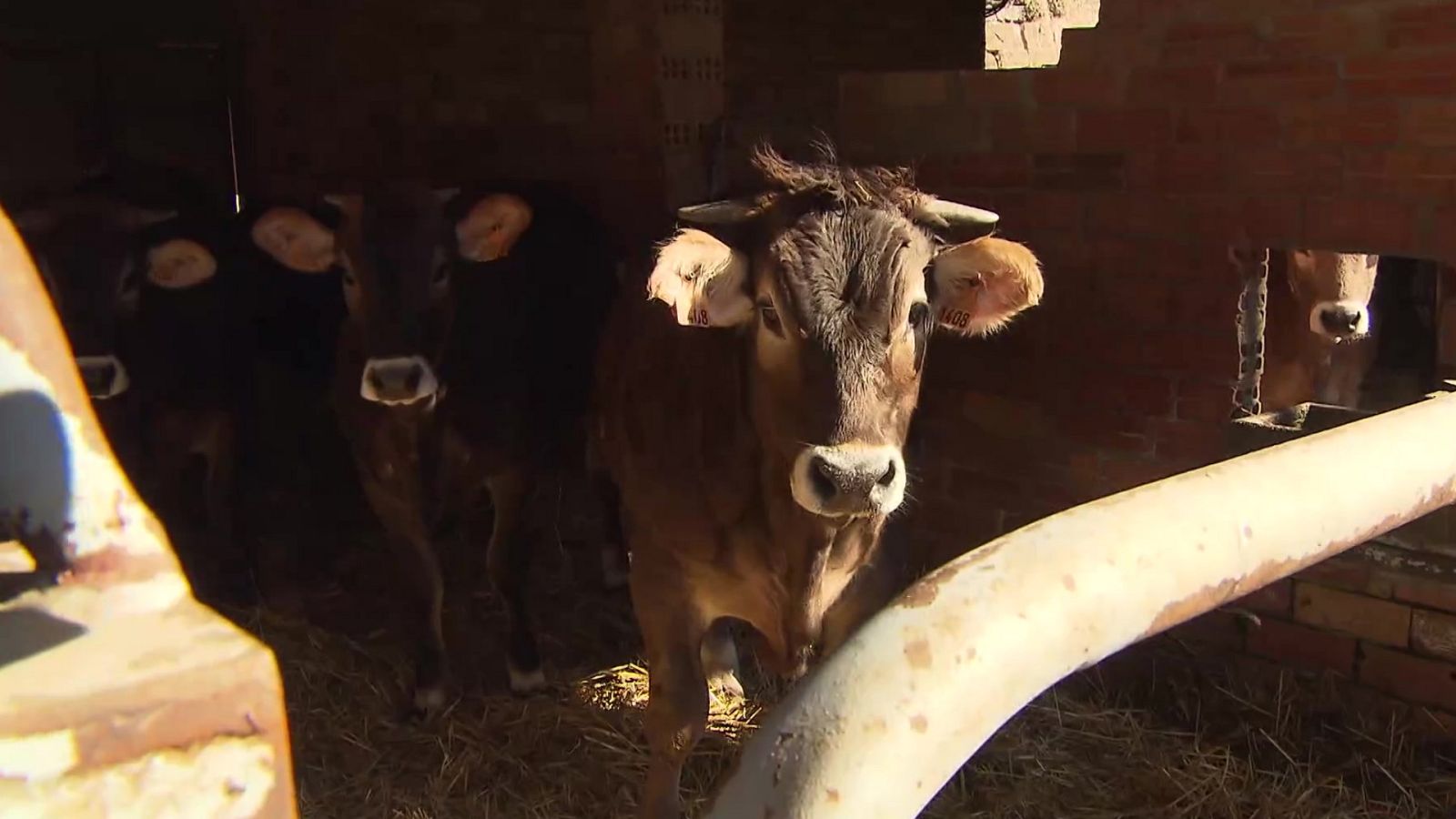 Emprende Express - 04/04/22 - ver ahora