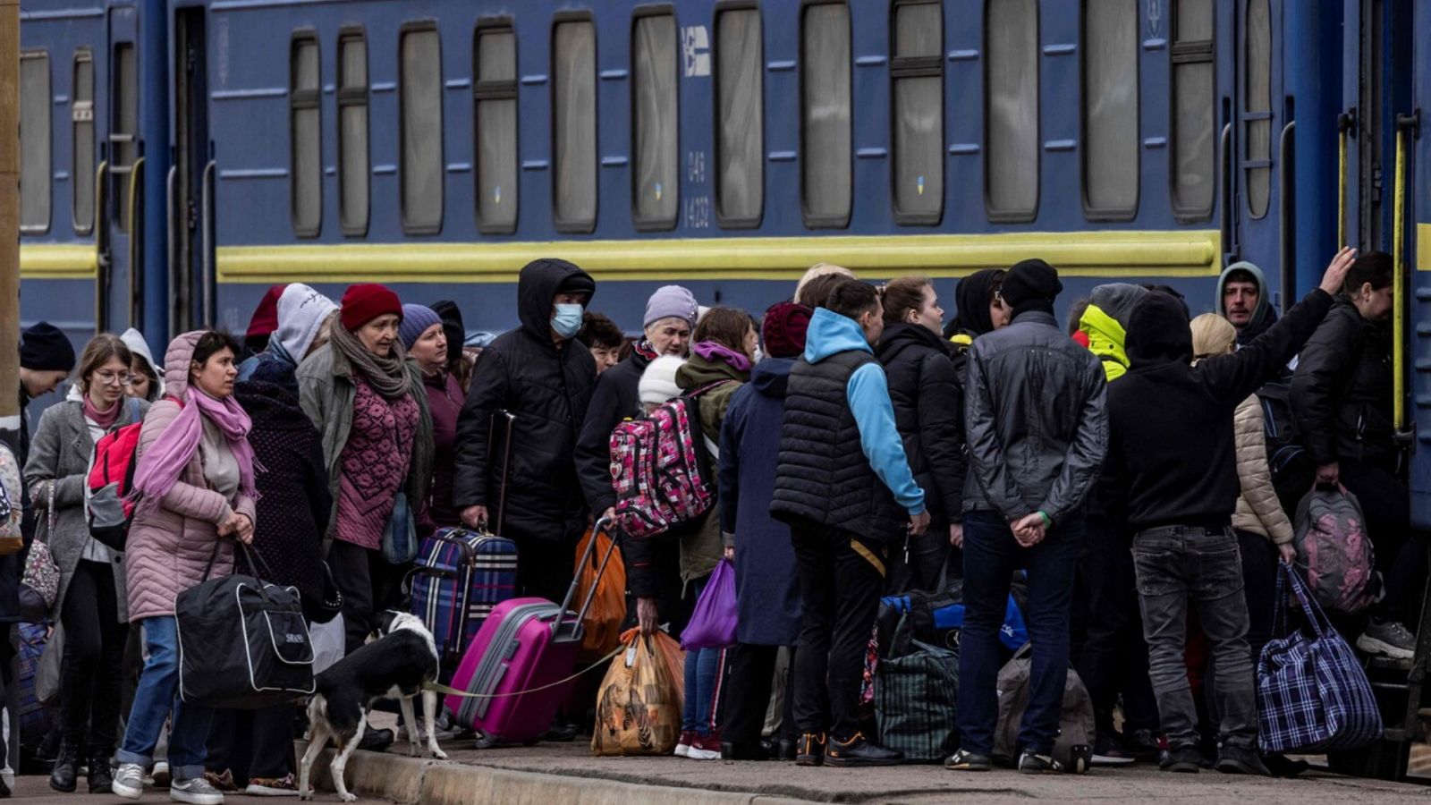 Diario 24 - 05/04/22 (1) - ver ahora