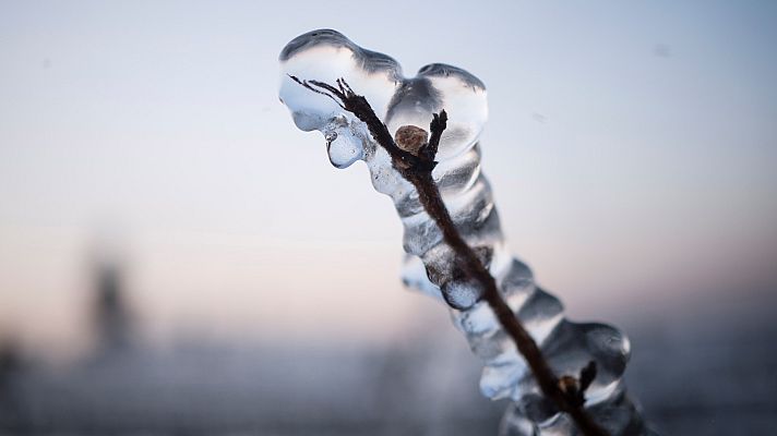 Telediario 1 - Las heladas arruinan entre el 30 y el 80 % de las cosechas de frutales en la Península