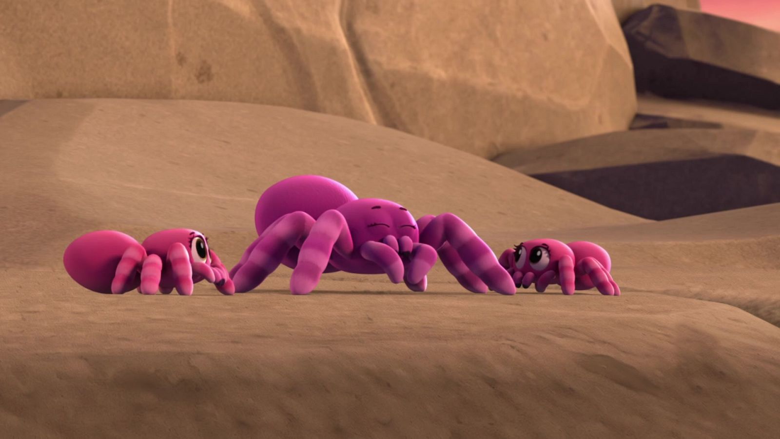 La patrulla salva a una araña