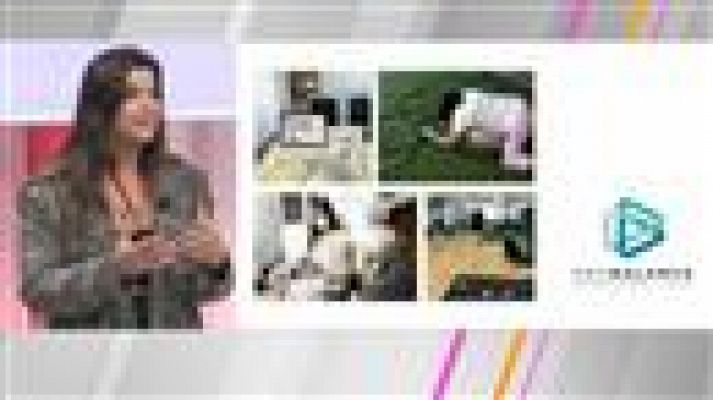 Cerca de ti - Cerca de ti - 06/04/2022