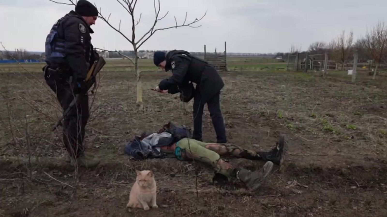 La tarde en 24 horas - 06/04/22 (1) - ver ahora