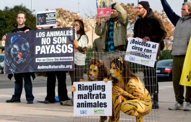  - Denuncian a un circo por maltrato