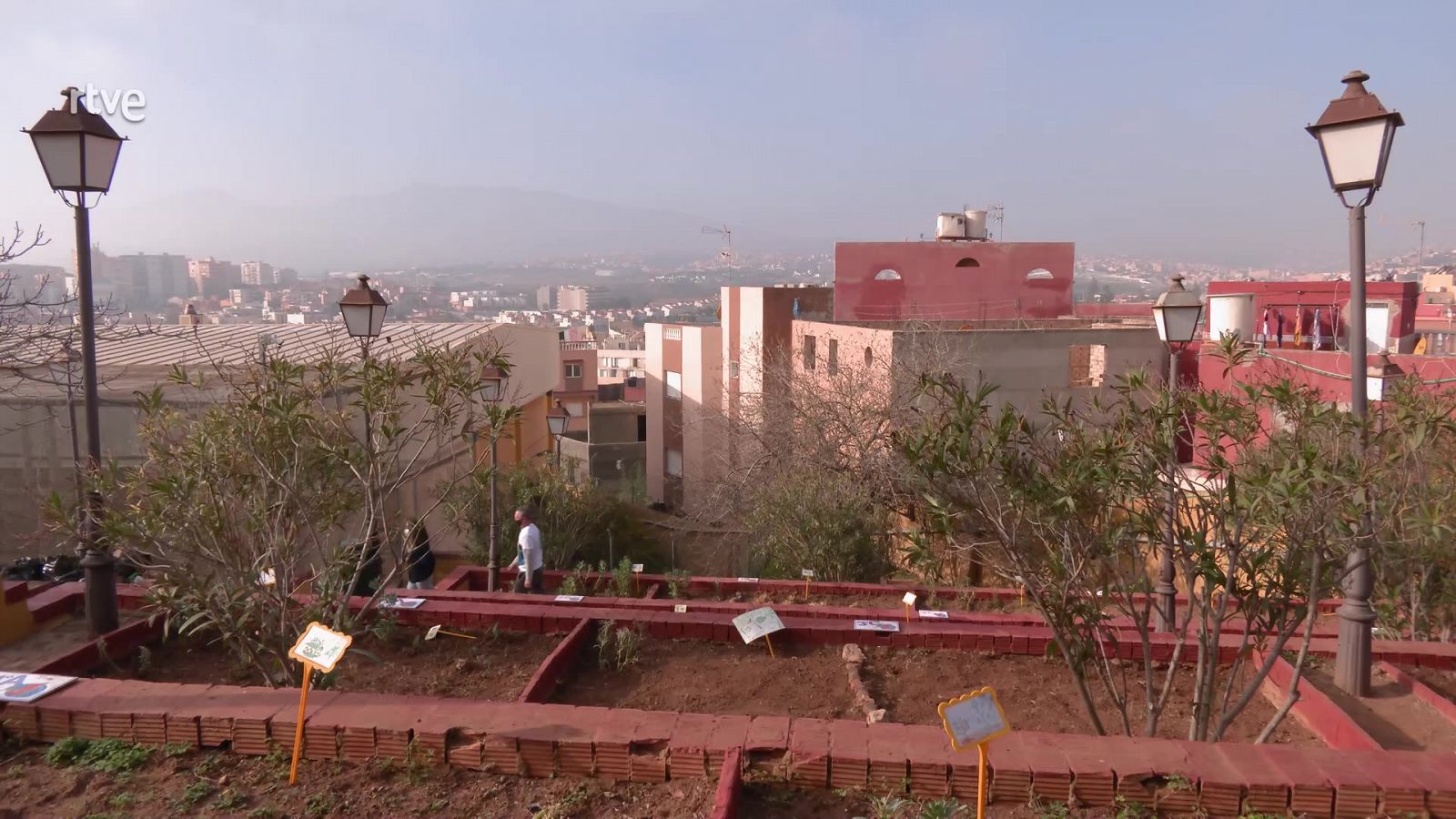 Un colegio con huerto propio