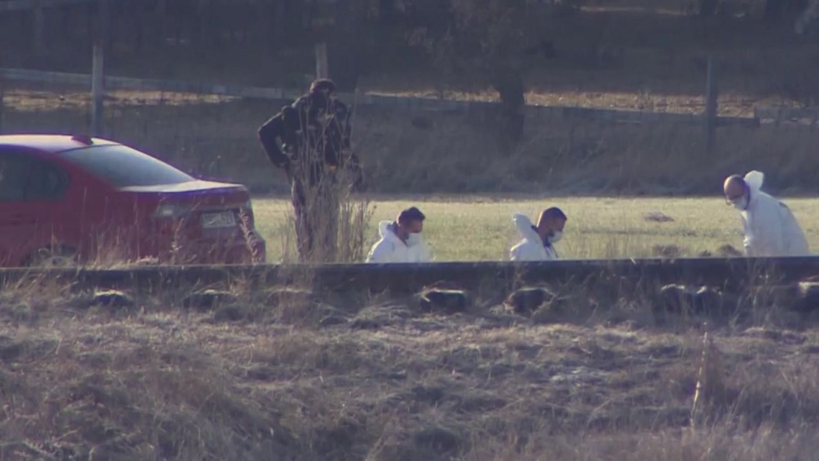 Investigan el coche de un amigo de Esther López, la mujer hallada muerta en una cuneta en Traspinedo - Ver ahora