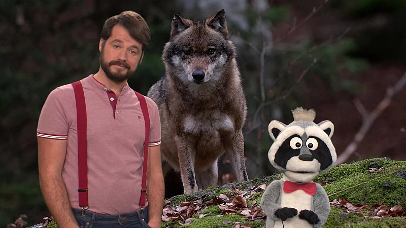 ¡Lobos!
