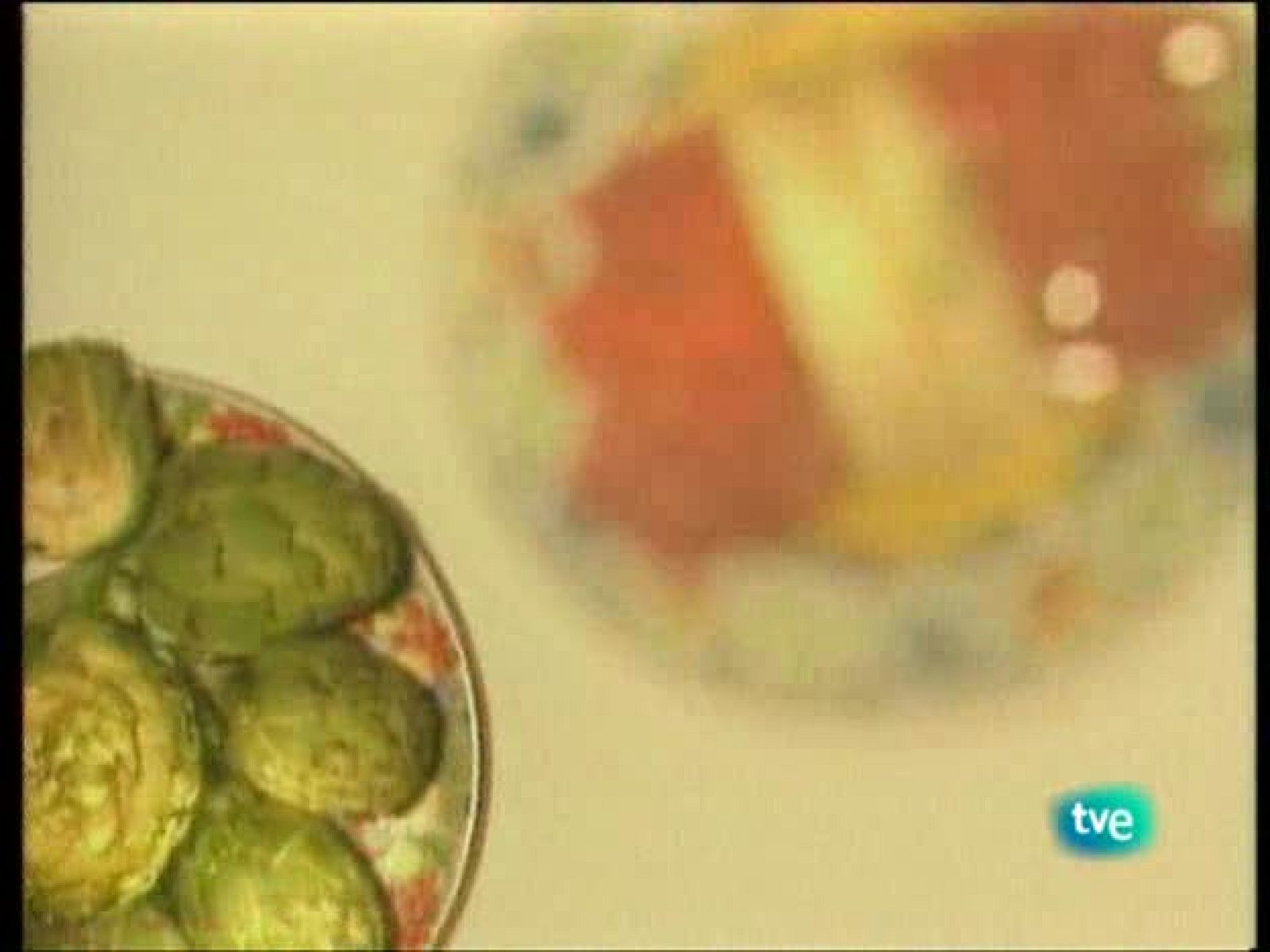 A pedir de boca - Vinos de Jerez con vejez calificada - A pedir de boca | Ver