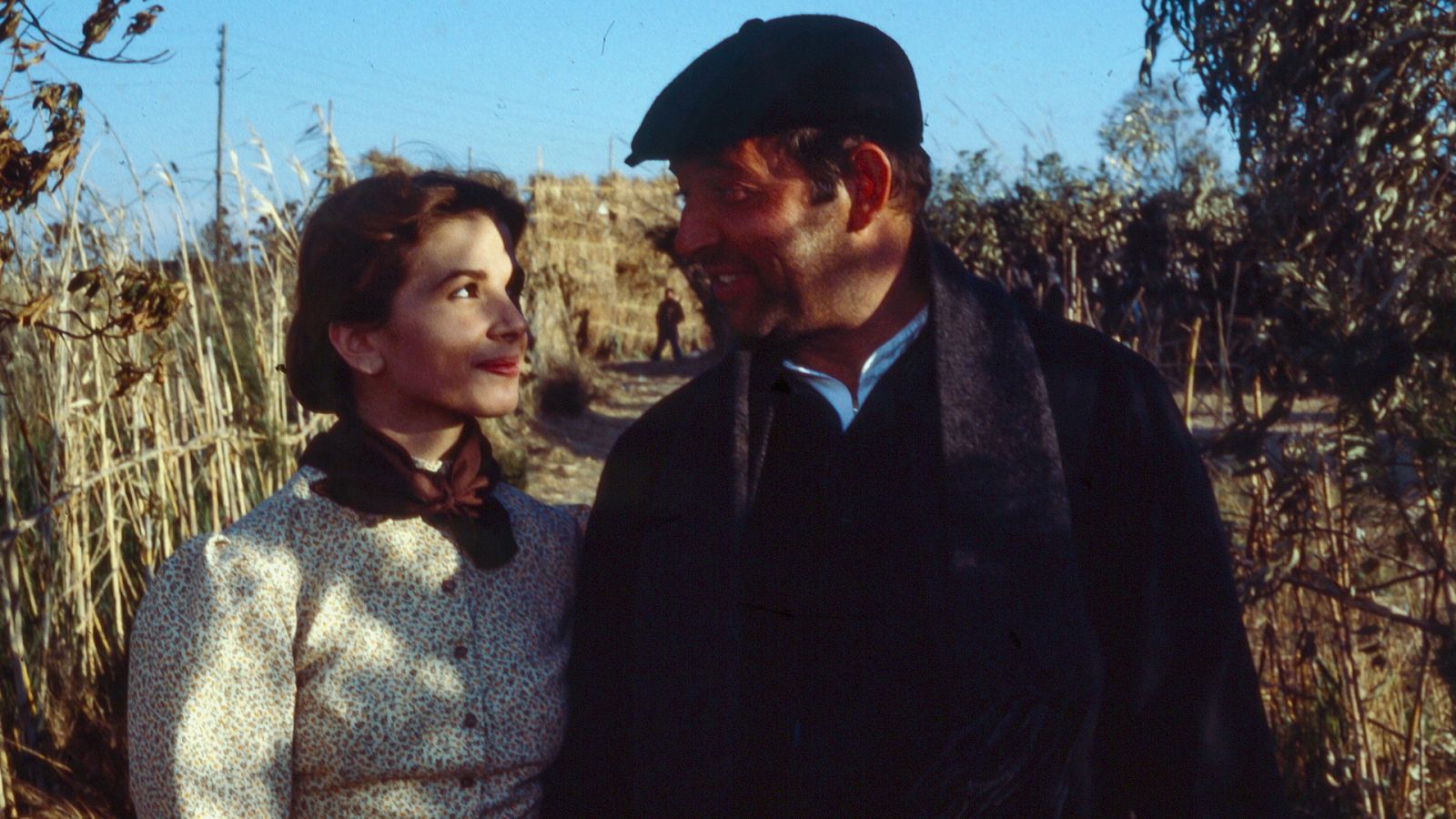 La barraca - Episodio 3 - Ver ahora