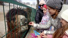 El zoo de Odesa acoge a las mascotas de los refugiados que han huido de Ucrania