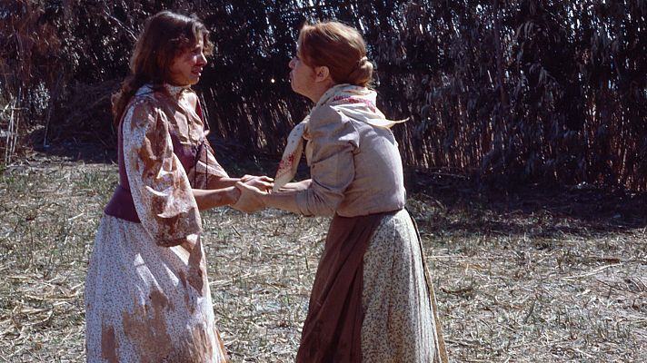 La barraca - Episodio 4