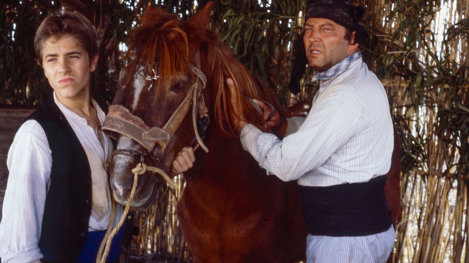 La barraca - Episodio 8 - Ver ahora