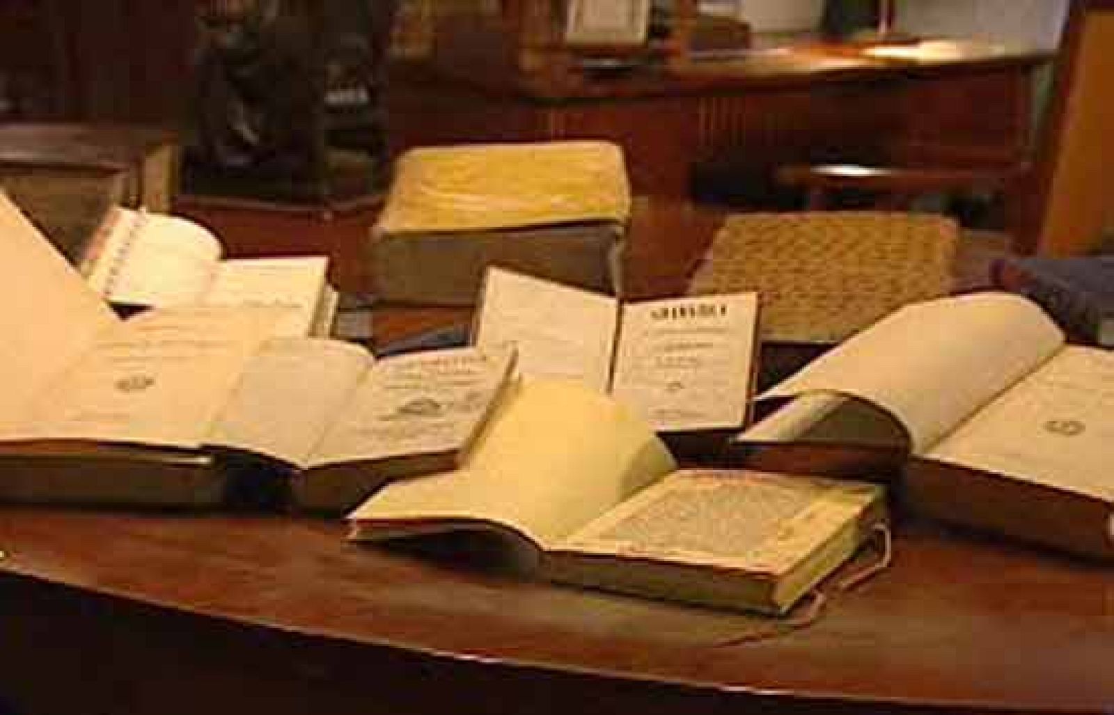 La vida pública de las palabras | Ver