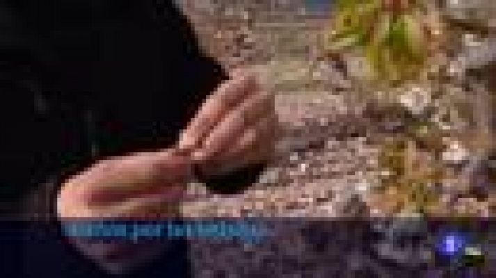 Informativo Telerioja - Informativo Telerioja - 08/04/22