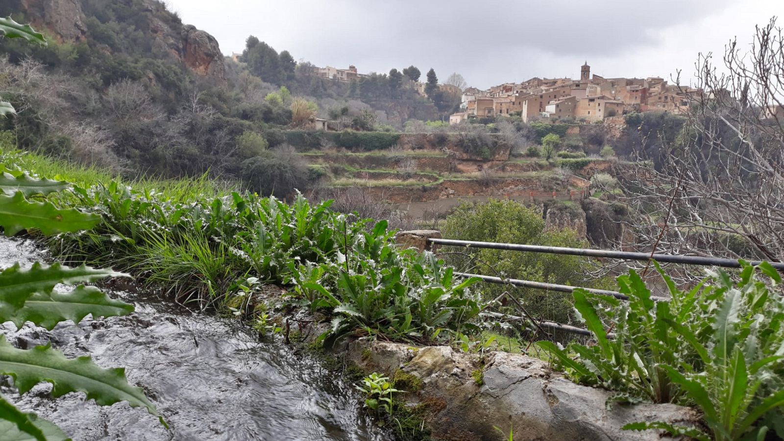 El escarabajo verde - Letur, hija del agua - ver ahora