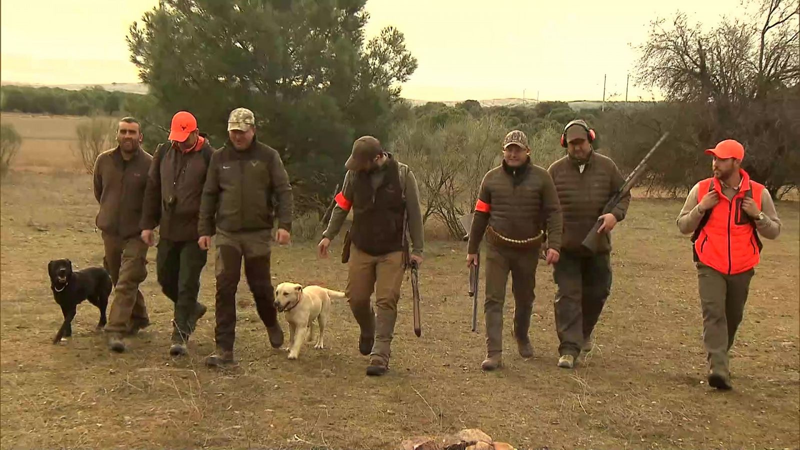 Jara y sedal - Un día en La Mancha - Documental en RTVE