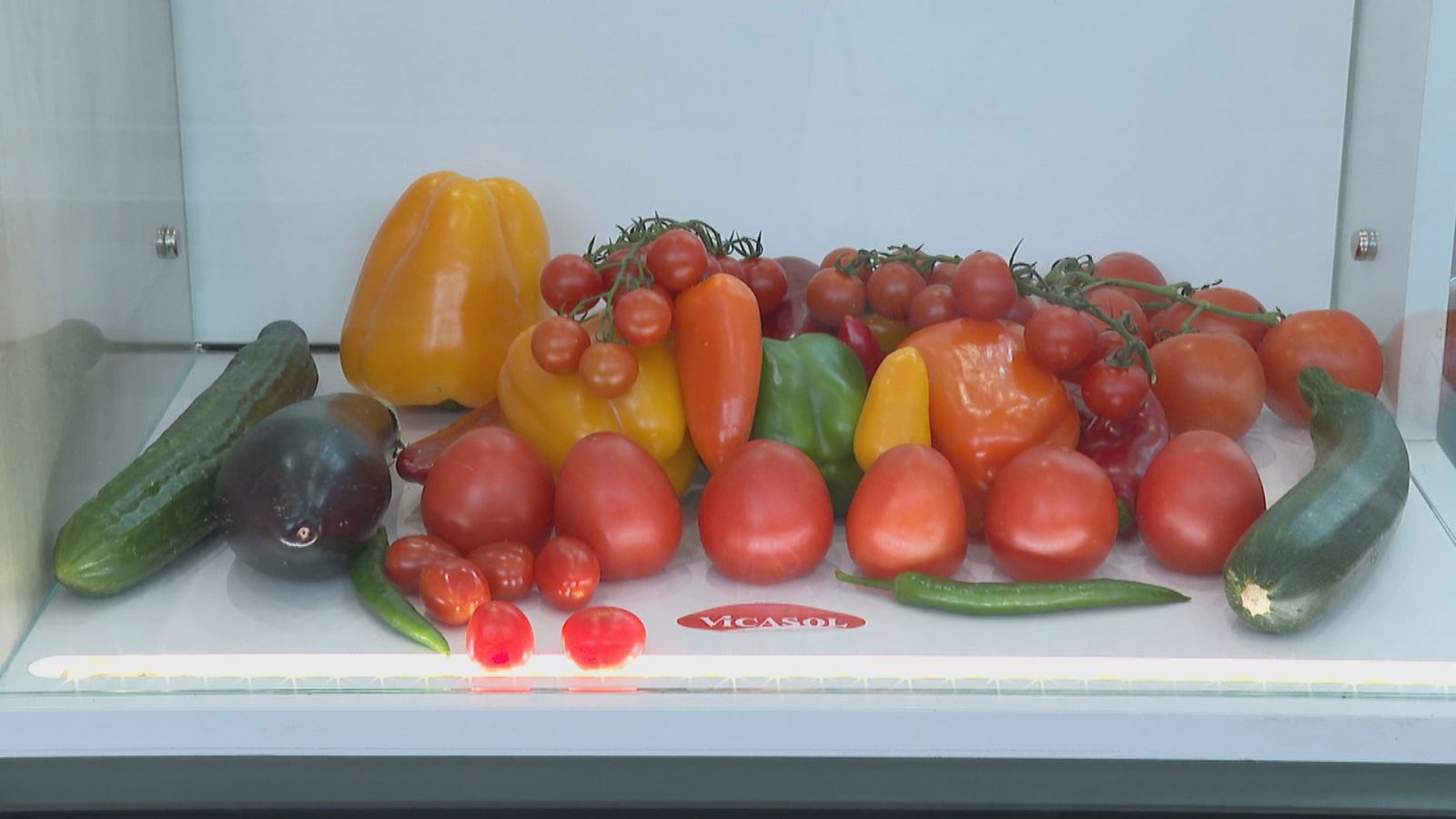 Agrosfera - 09/04/22 - ver ahora