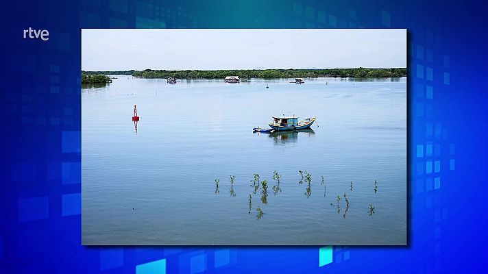 Saber y ganar - Saber y ganar. Edición de fin de semana - 09/04/22