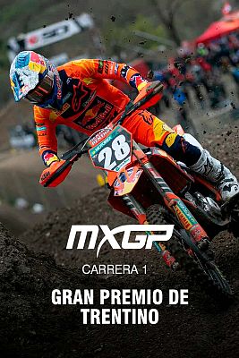 Campeonato del Mundo de Motocross - Gran Premio de Trentino. Carrera 1