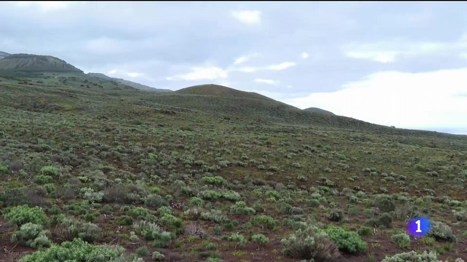 Telecanarias: Decenas de kilómetros declarados Paisaje Cultural | RTVE Play