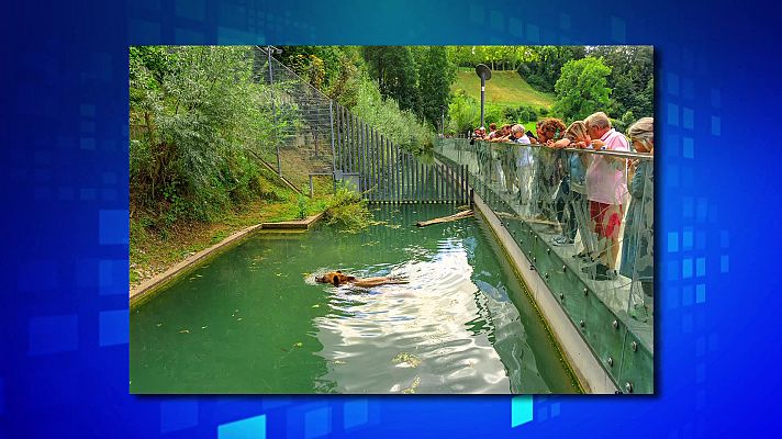 Saber y ganar - Saber y ganar - 11/04/22