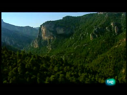 Espacios naturales - Soñando con buitres