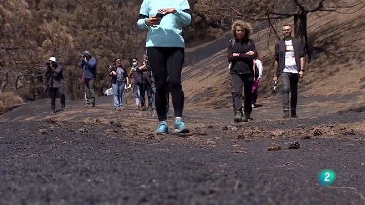 Telecanarias - Telecanarias 2 - 11/04/2022