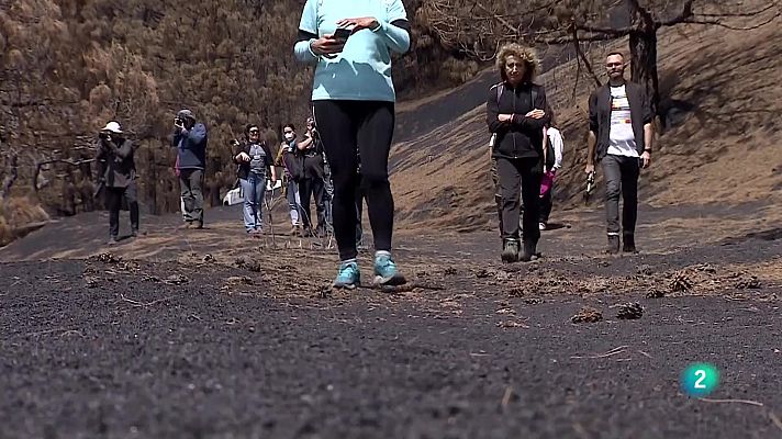 Telecanarias - Telecanarias 2 - 11/04/2022