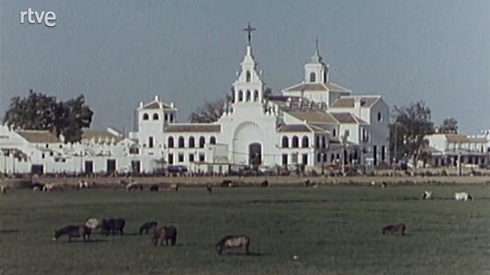 España húmeda - Humedales andaluces (1): Marismas de Doñana