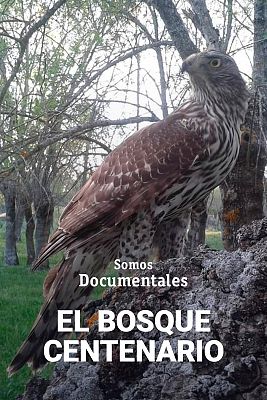 El bosque centenario