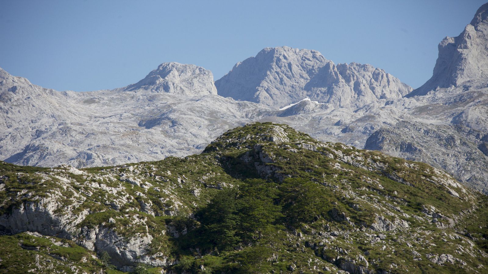 De parque en parque - Parque Nacional de Picos de Europa - Documental en RTVE
