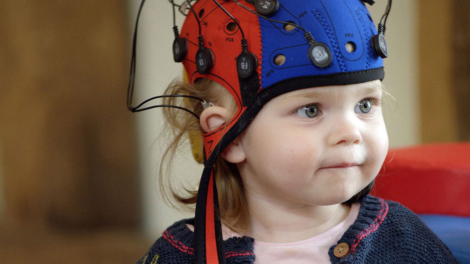 El maravilloso mundo de los bebés - Independencia - ver ahora