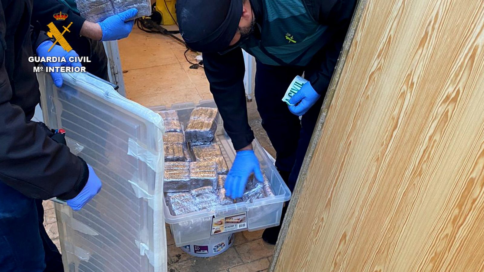 Desarticuladas dos bandas que prestaban apoyo a traficantes | Ver