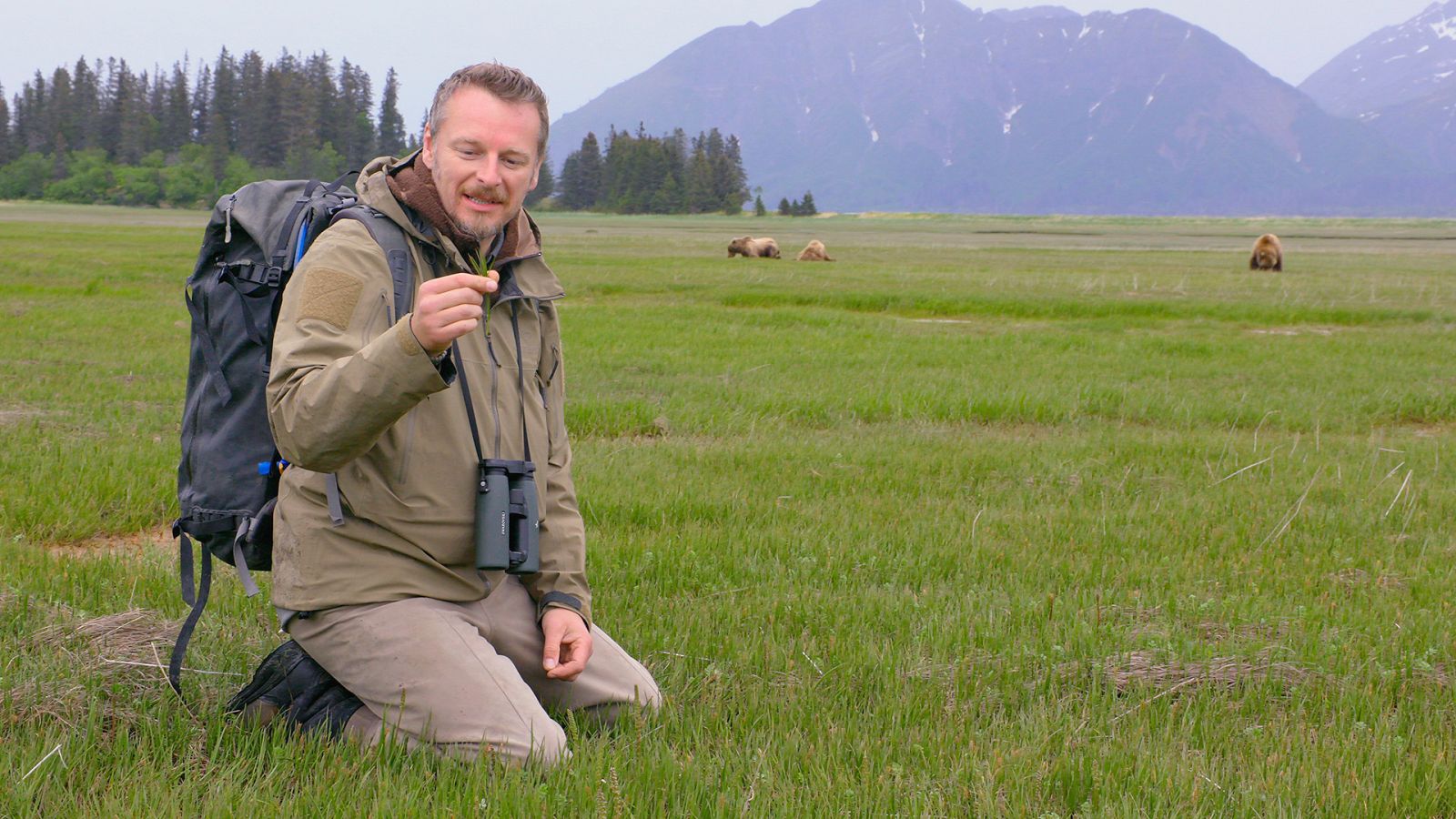 Encuentros con los osos Grizzly con Chris Morgan - Episodio 1: El desafío del hambre - ver ahora