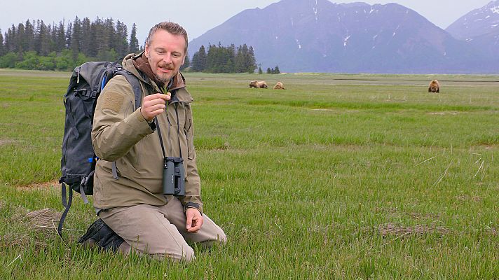 Encuentros con los osos Grizzly con Chris Morgan - El desafío del hambre