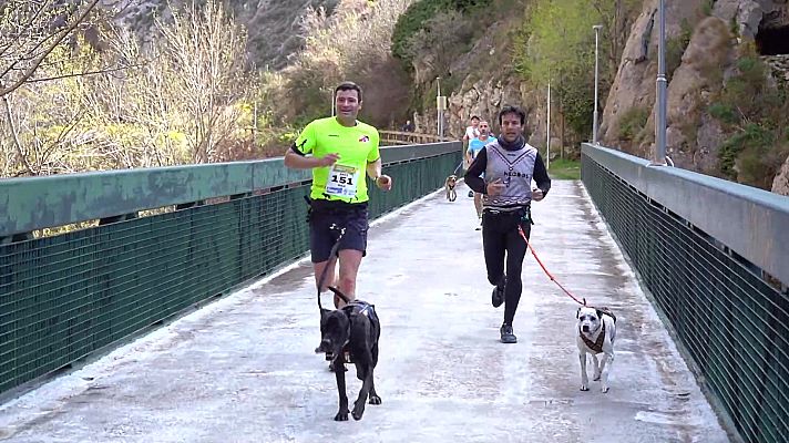 Otros deportes - Canicross Arnedillo