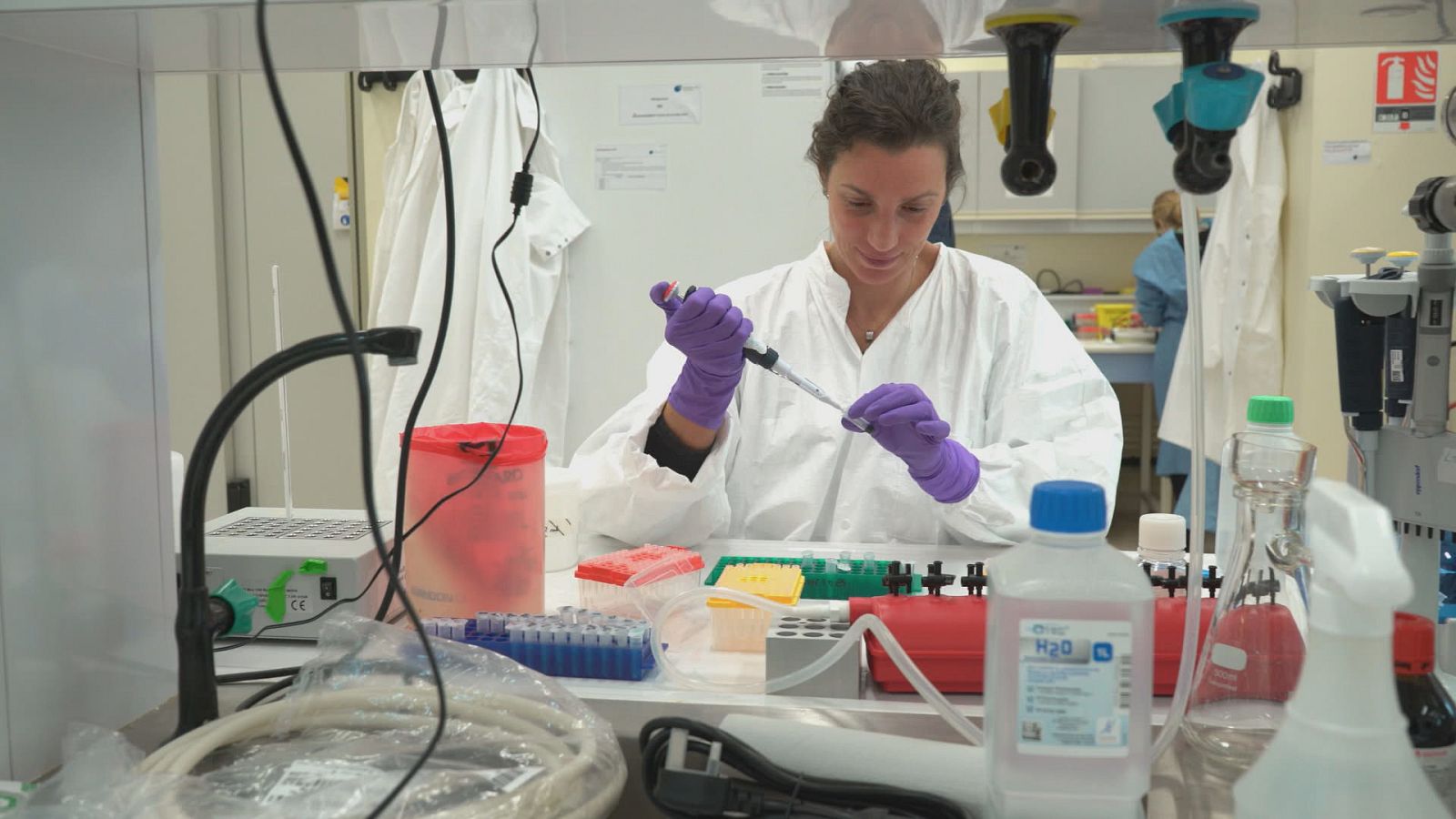 La noche temática - La increíble historia de los fagos - ver ahora