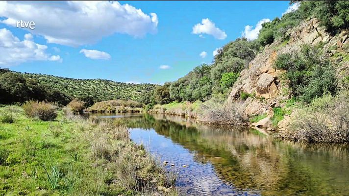 Tiempo estable con cielos poco nubosos o nubes altas en casi todo el país