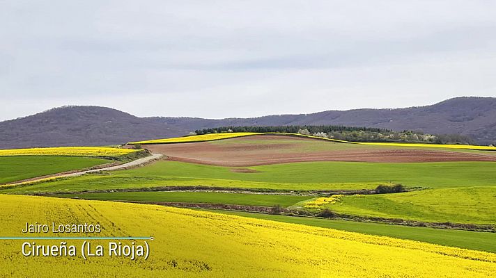 Temperaturas en valores superiores a los normales en la vertiente atlántica, nordeste y Canarias       