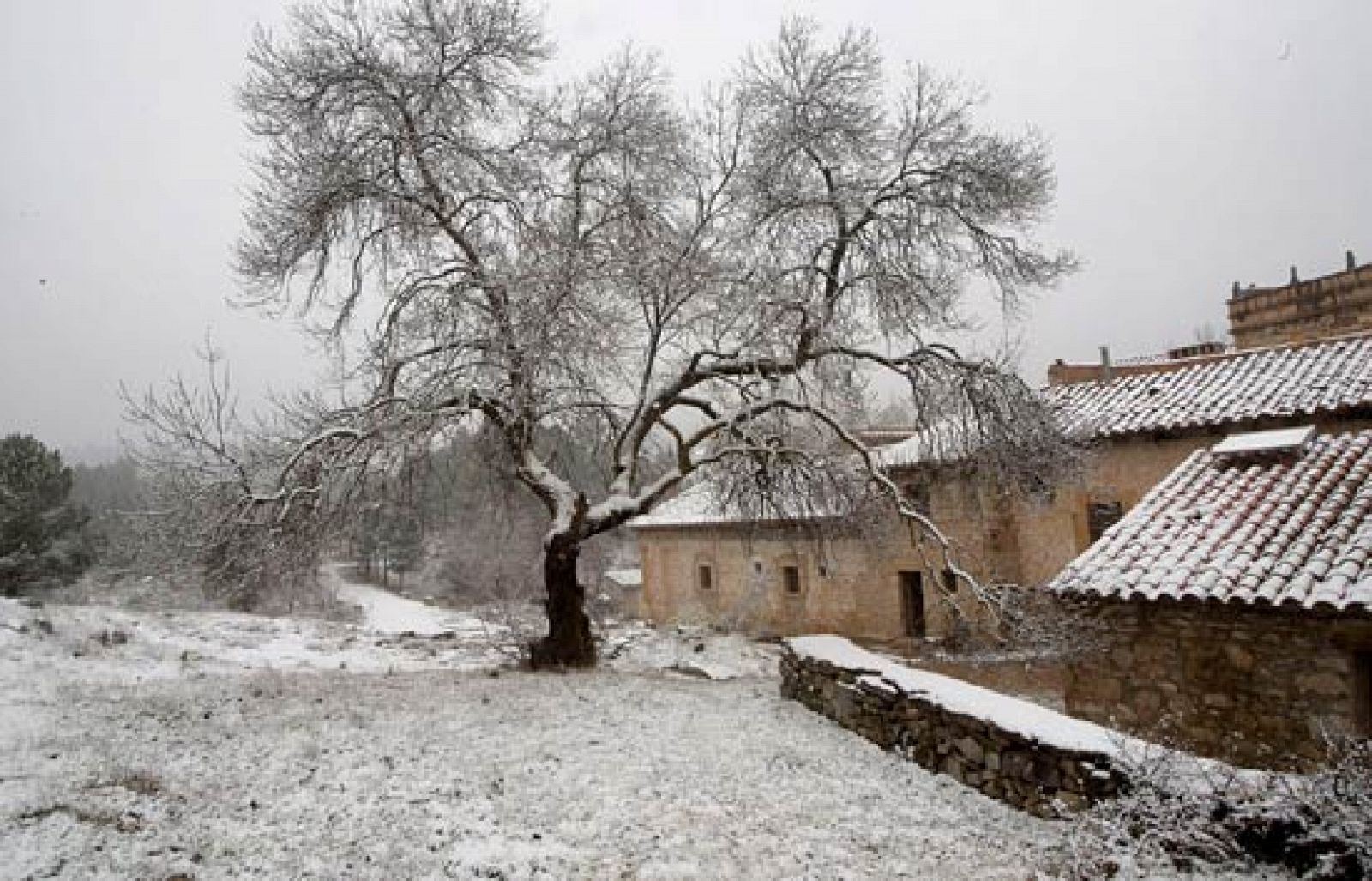 En la Comunidad Valenciana nieva en zonas del interior por encima de los 400 metros