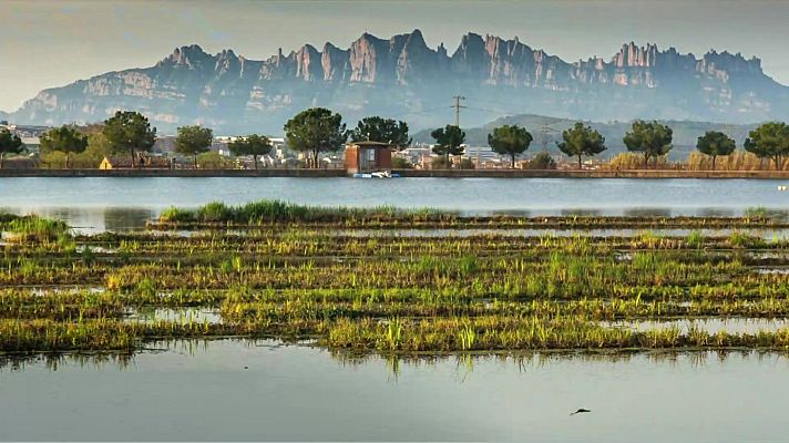El tiempo - Debido a la entrada de un frente atlántico poco activo, se prevé un aumento de la nubosidad, con precipitaciones en el norte de Galicia y Cantábrico