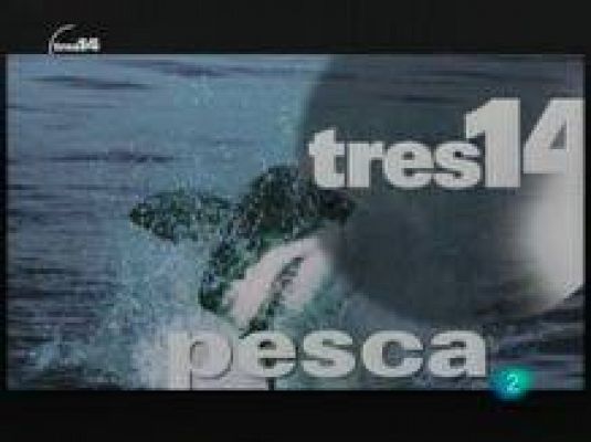 tres14 - Últimas noticias