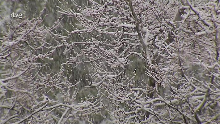 El tiempo - Precipitaciones abundantes en casi toda la mitad este peninsular, fuertes y persistentes en los entornos del bajo Ebro y del cabo de La Nao