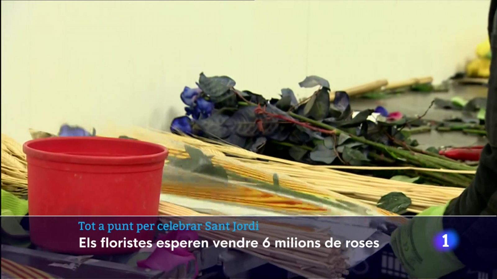 Els floristes preveuen vendre 6 milions de roses per Sant Jordi