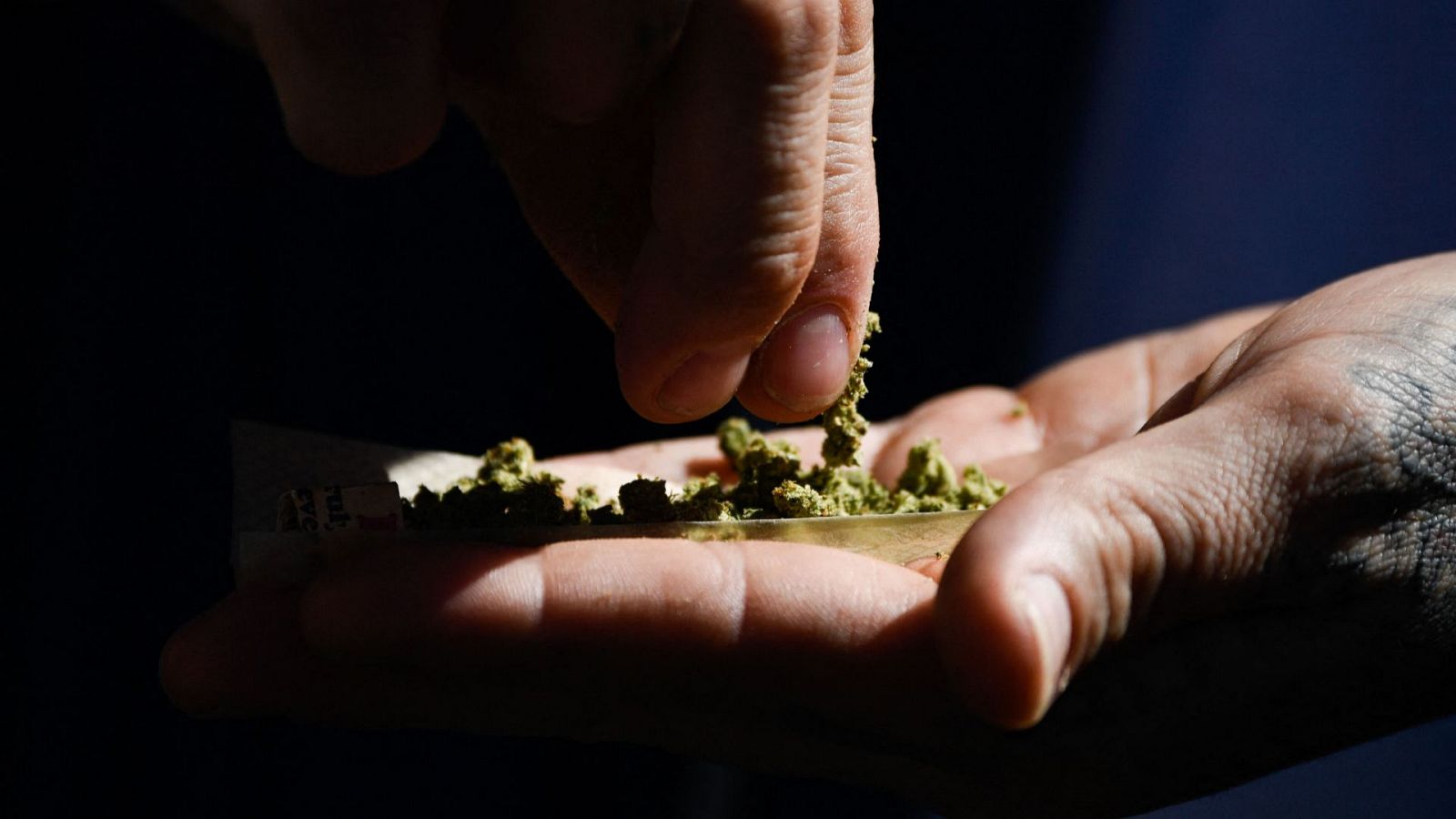 Nueva York invertirá en la industria de la marihuana