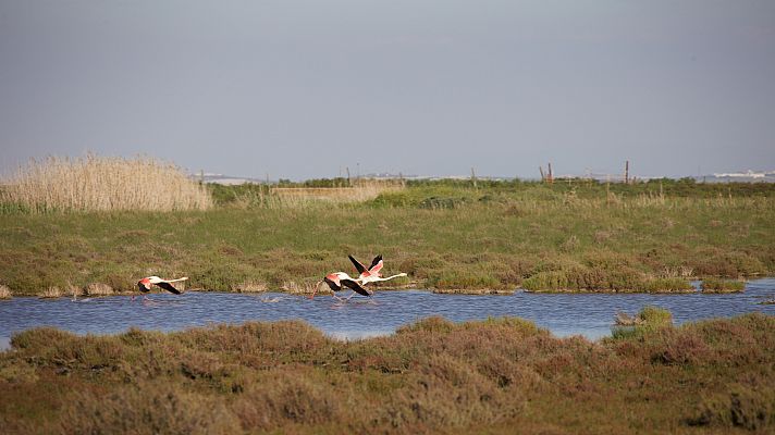 Parque Nacional de Doñana