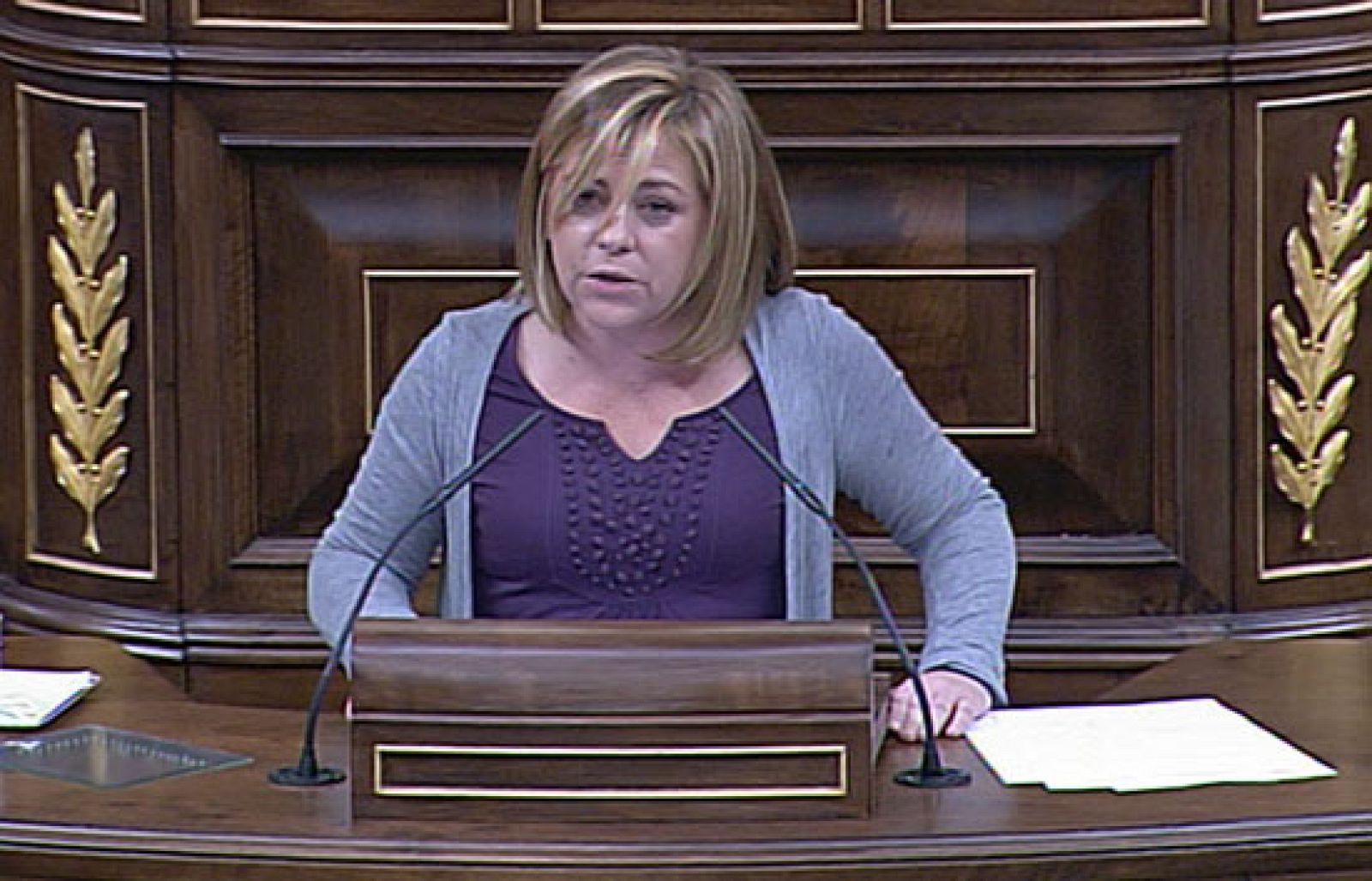 "El Gobierno de España no es responsable de esta injusta situación" | Ver