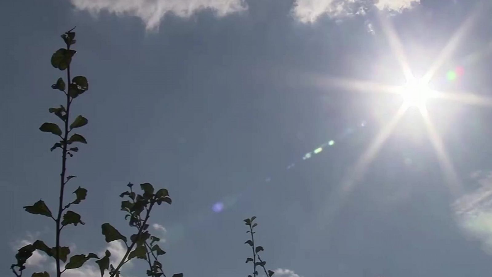 Día de la Tierra- RTVE.es