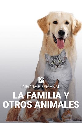 Informe Semanal - La familia y otros animales