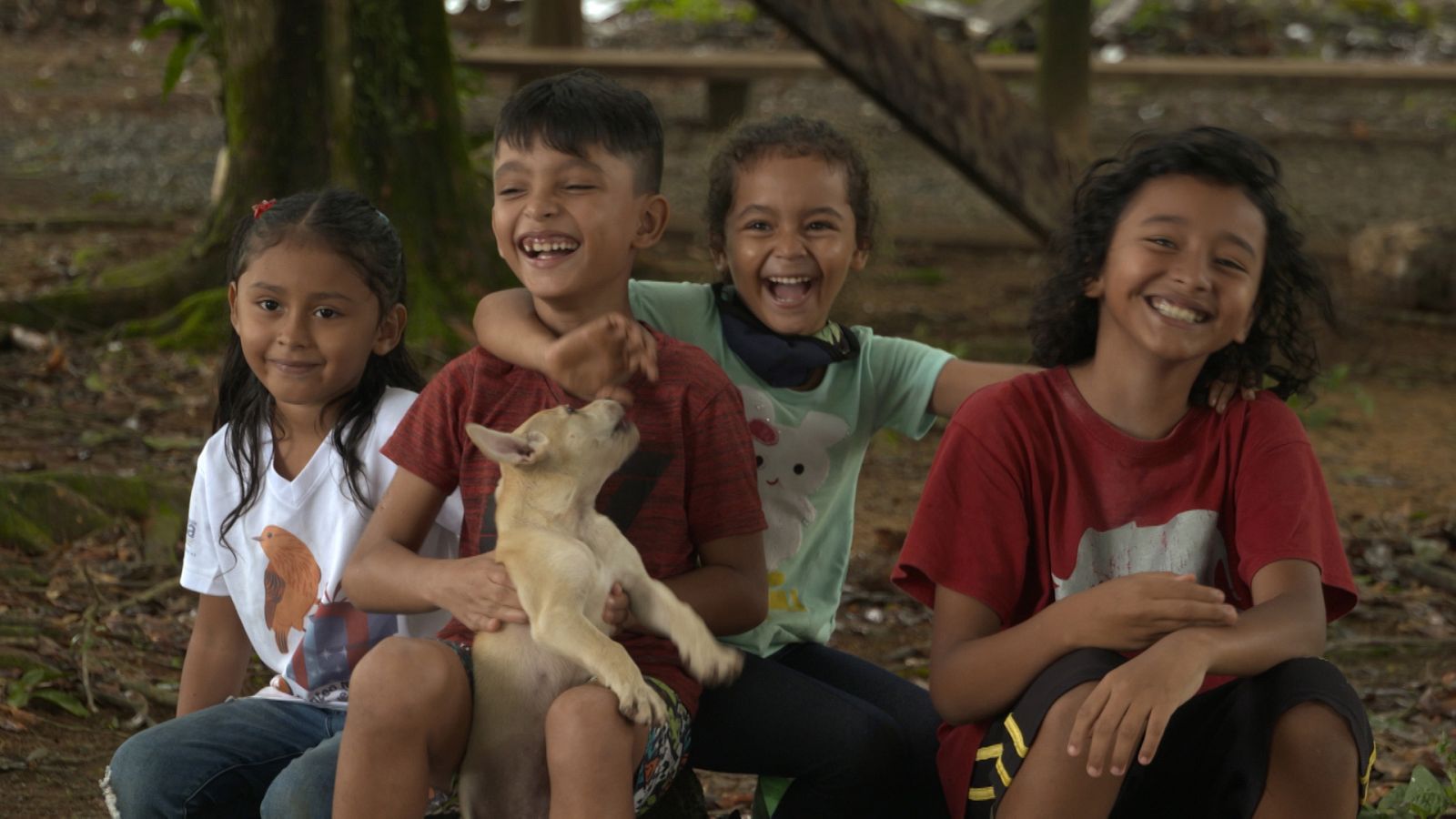 Turismo rural en el mundo - Costa Rica: el secreto de la jungla - ver ahora