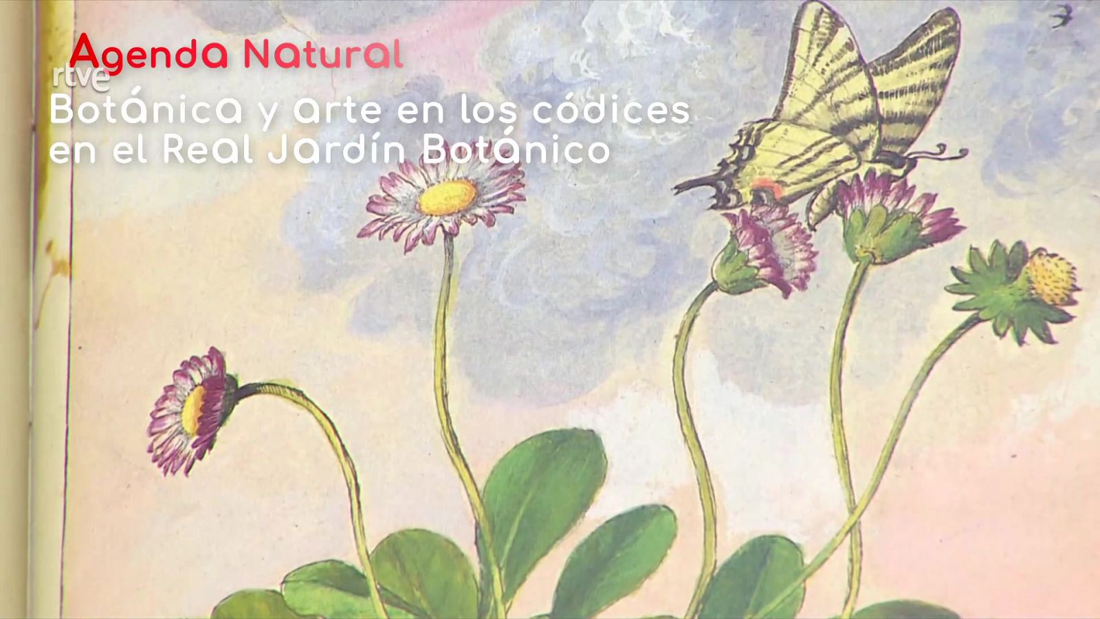 La aventura del saber - Agenda natural - ver ahora